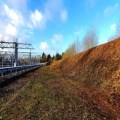 Vegetation Management